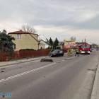 zdjęcie nr 8