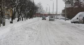 zdjęcie nr 8