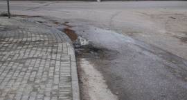 zdjęcie nr 8