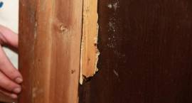 Wywiad z bratem Mussoliniego ukryty w lustrze