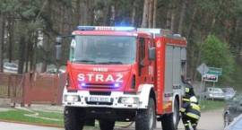 zdjęcie nr 14