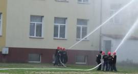 zdjęcie nr 14