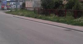 Fotka nr 4 z 20