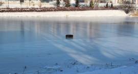 Uwaga na zamarznięte zbiorniki wodne