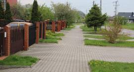 zdjęcie nr 16