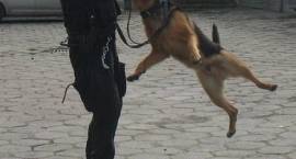 Uczniowie odwiedzili komendę policji