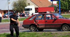 zdjęcie nr 13