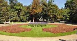 zdjęcie nr 8