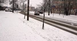 zdjęcie nr 7