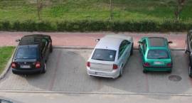 zdjęcie nr 7