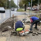 zdjęcie nr 27