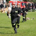 zdjęcie nr 45