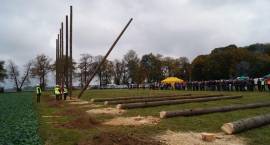 zdjęcie nr 12