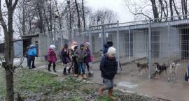 „Piątka” pomaga zwierzakom