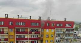 zdjęcie nr 8