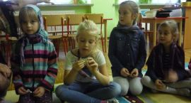 zdjęcie nr 28