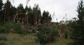 zdjęcie nr 15