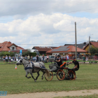 zdjęcie nr 35