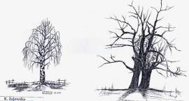 Autorka: K. Zalewska