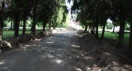zdjęcie nr 7