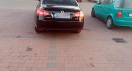 zdjęcie nr 7