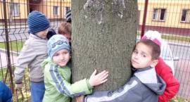 Święto Drzewa w Akademii Malucha