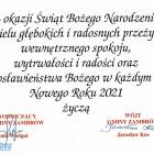 zdjęcie nr 15