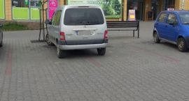zdjęcie nr 25