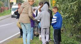 zdjęcie nr 19