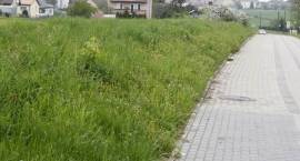 zdjęcie nr 8