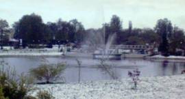 zdjęcie nr 8