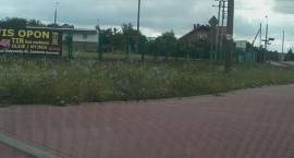 zdjęcie nr 17