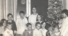 zdjęcie nr 51