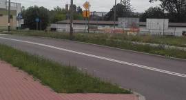 zdjęcie nr 16
