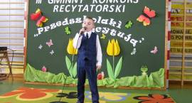 zdjęcie nr 15