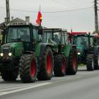 zdjęcie nr 10
