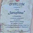 zdjęcie nr 61