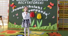 zdjęcie nr 14