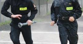 zdjęcie nr 14