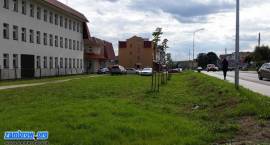 Parkuj z głową i nie daj się złapać