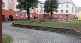 zdjęcie nr 12