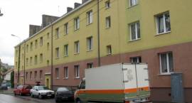 zdjęcie nr 7