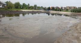 zdjęcie nr 16