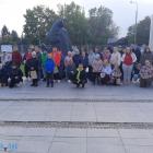 zdjęcie nr 10