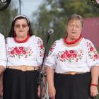 zdjęcie nr 161