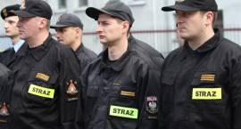 zdjęcie nr 10