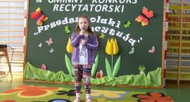 zdjęcie nr 17