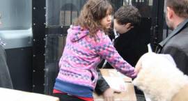 41 rodzin z Zambrowa otrzymało szlachetne paczki