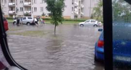 zdjęcie nr 10