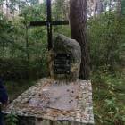 Fotka nr 2 z 15